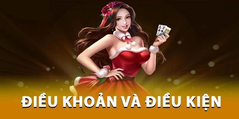 Điều khoản điều kiện quy định về quy trình mở tài khoản